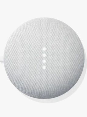 NEW Google Home Mini